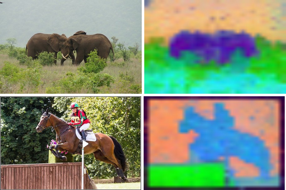 DINO ViT-S/16 on two elephants and a horse jumper, each beside its feature PCA