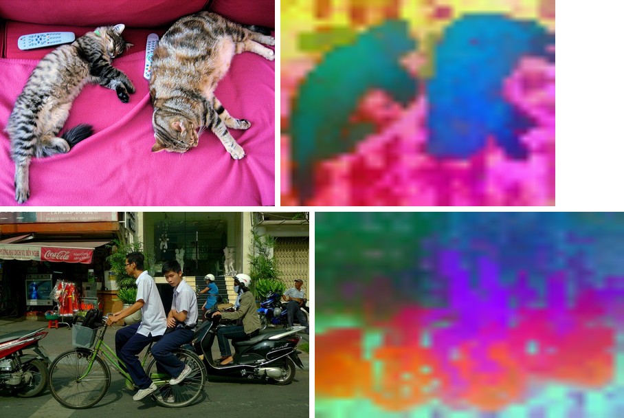 DINOv2 ViT-S/14 on two cats and a busy street, each beside its feature PCA