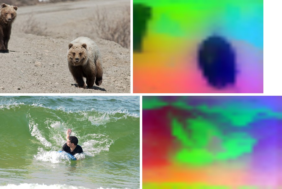 DINOv3 ViT-S/16 on a bear cub and a surfer, each beside its feature PCA