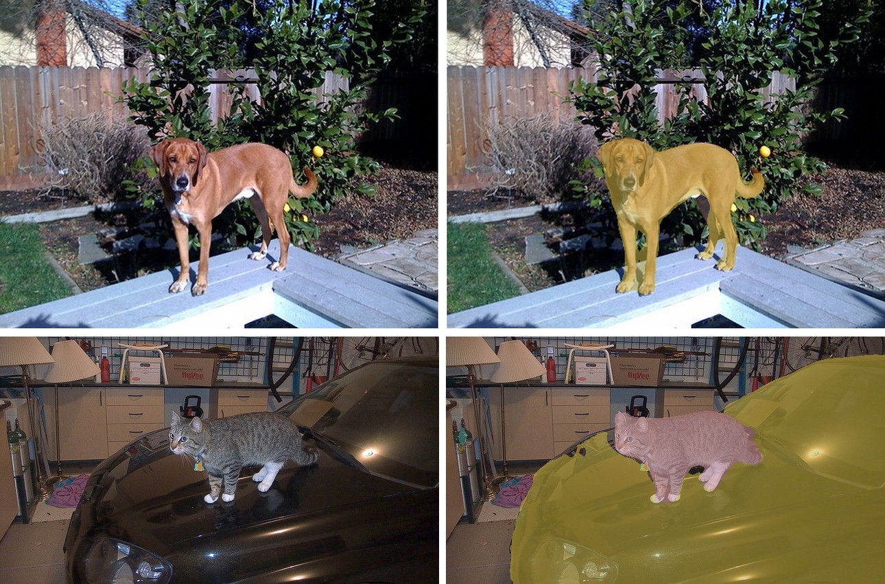 DeepLabV3 on a dog in a yard and a cat on a car: original and overlay