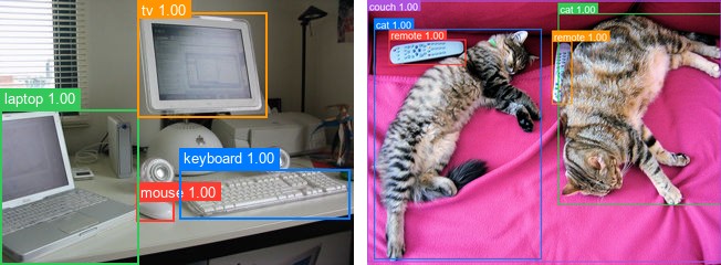 DETR detections on a desk and on two cats, run as one batch