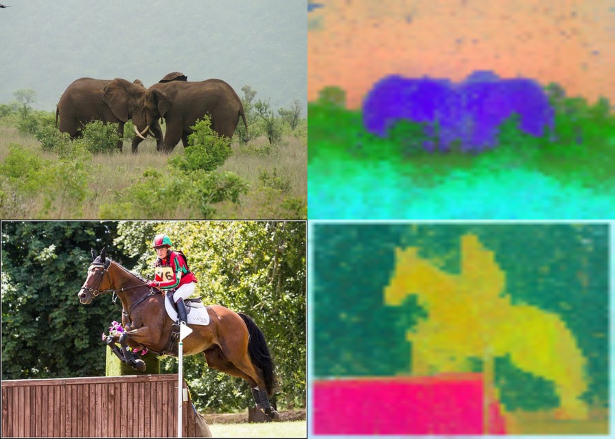 DINO ViT-B/16 on two elephants and a horse jumper, each beside its feature PCA