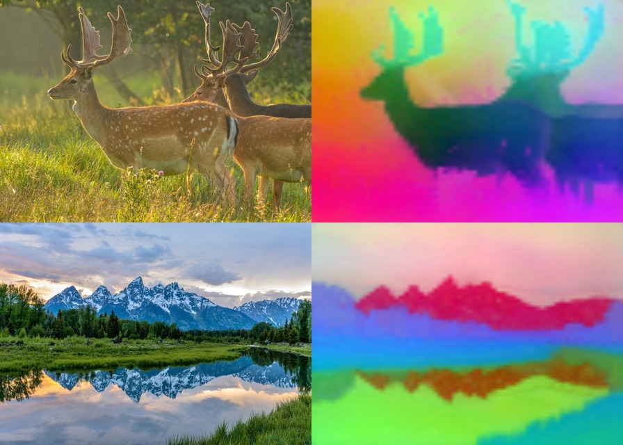 DINOv3 ViT-L/16 on fallow deer and the Teton range, each beside its feature PCA