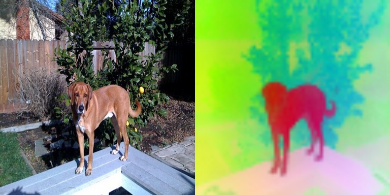 DINOv3 ViT-L/16: a dog in a yard beside the PCA of its patch features