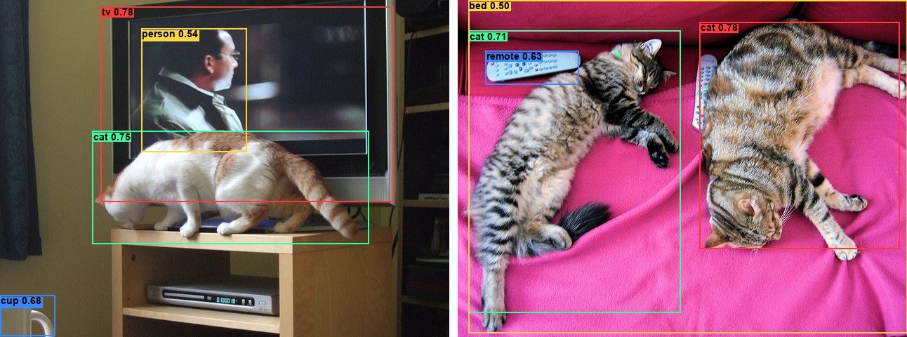 EfficientDet-D0 detections on a cat in front of a TV and two cats on a couch, run as one batch