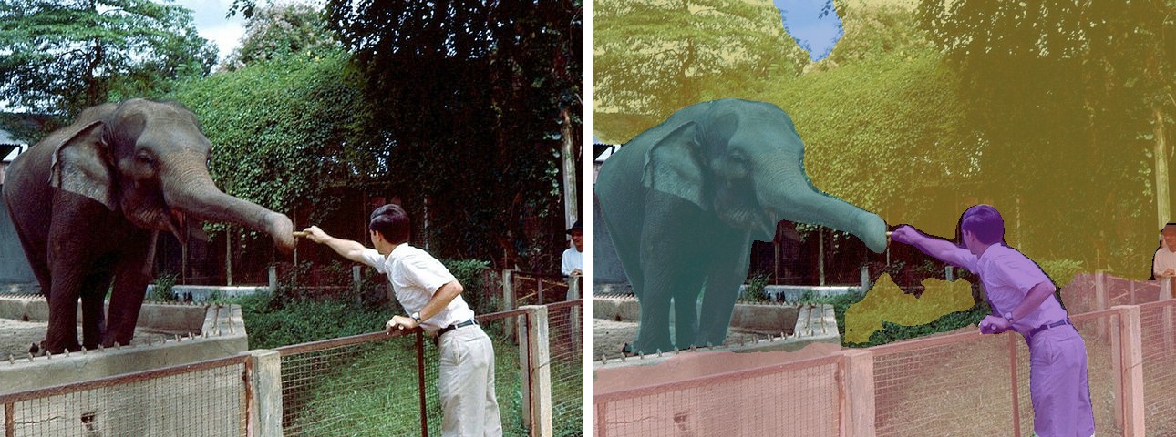 Mask2Former on an elephant and its trainer: original and overlay