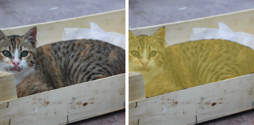 MobileViT on two cats in a crate: original and overlay