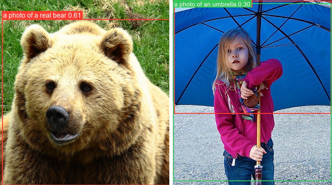 OWLv2 detecting a real bear from the prompt 'a photo of a real bear'