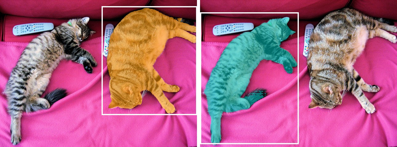 SAM2 box prompts: a loose box around each cat and the resulting mask