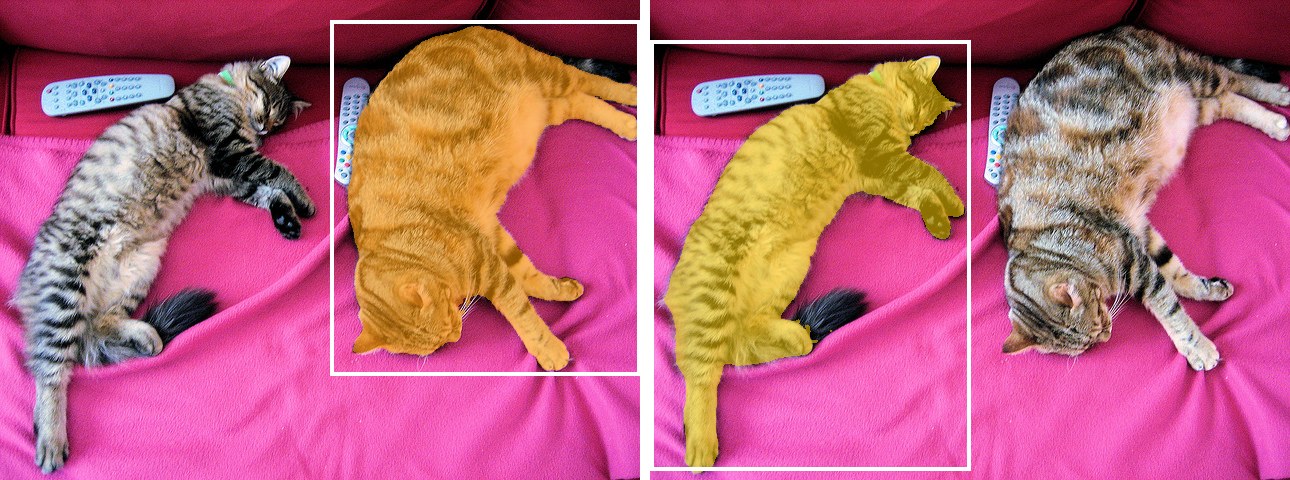 SAM box prompts around each of the two cats